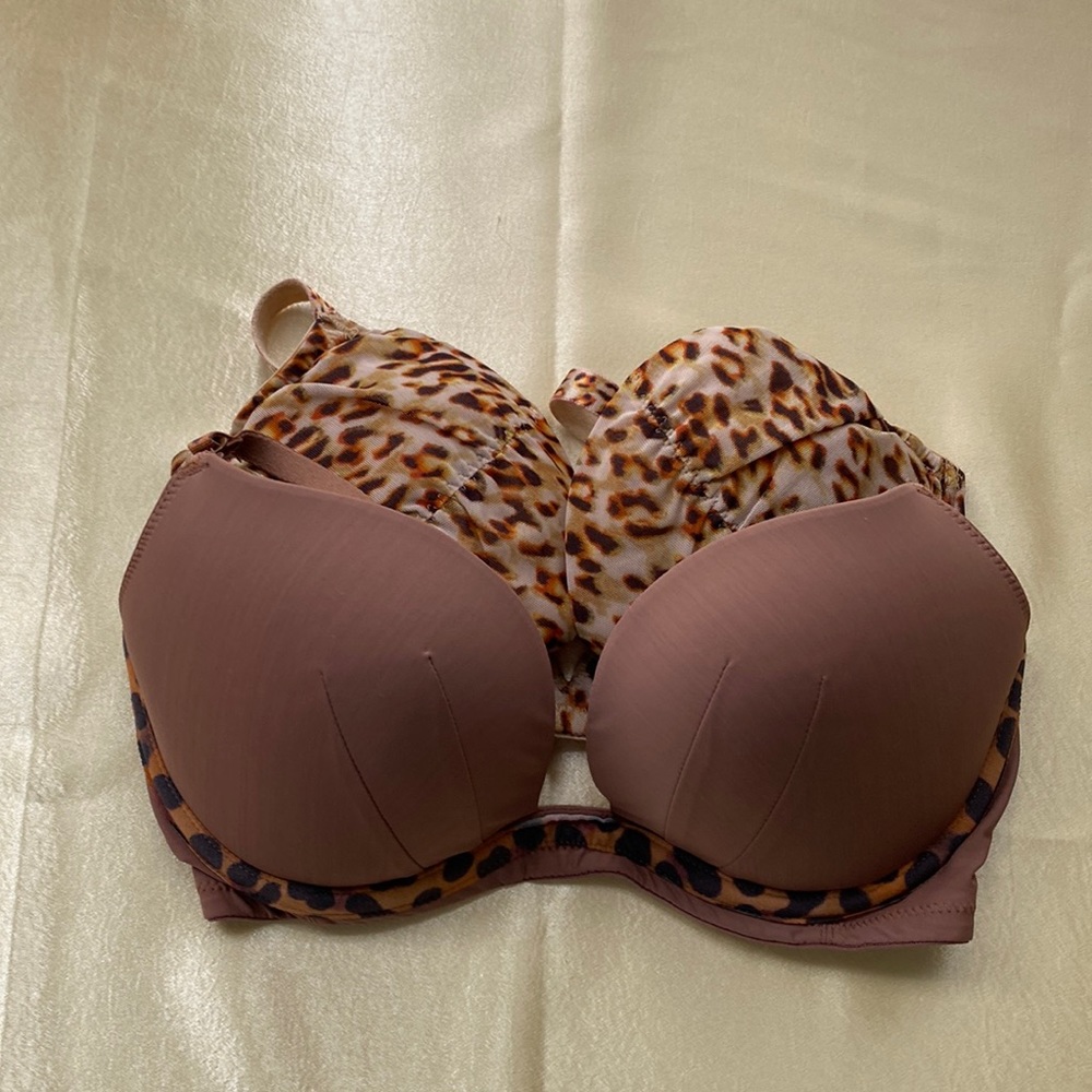 Wacoal Bras